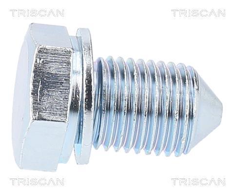 Bouchon de vidange Triscan A/S ref. 9500 2903