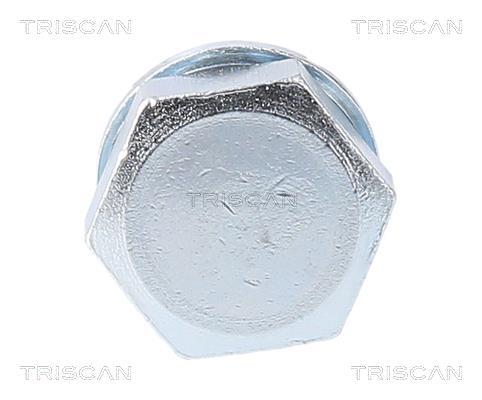 Bouchon de vidange Triscan A/S ref. 9500 2903