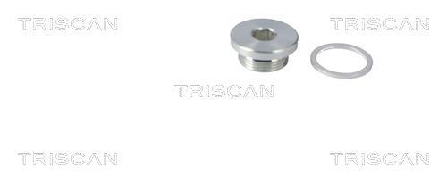 Bouchon de vidange Triscan A/S 9500 2904