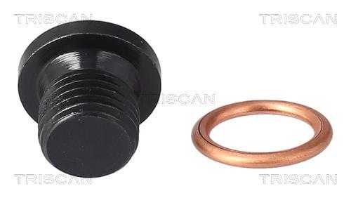 Bouchon de vidange Triscan A/S ref. 9500 2906