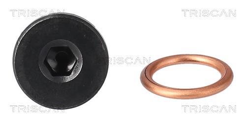 Bouchon de vidange Triscan A/S ref. 9500 2906