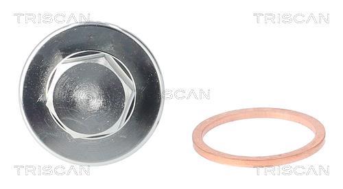 Tapón del cambio de aceite Triscan A/S ref. 9500 2908