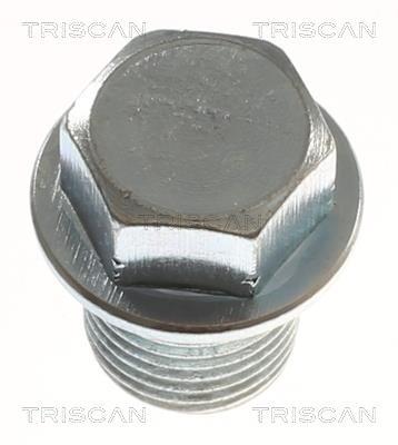 Tapón del cambio de aceite Triscan A/S ref. 9500 6802