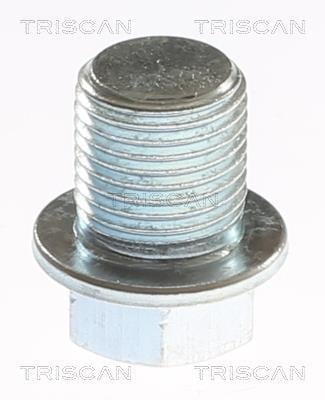 Tapón del cambio de aceite Triscan A/S ref. 9500 6802