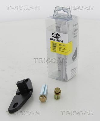 Triscan A/S Outillage de montage, courroie de transmission (Ref: gat4834)
