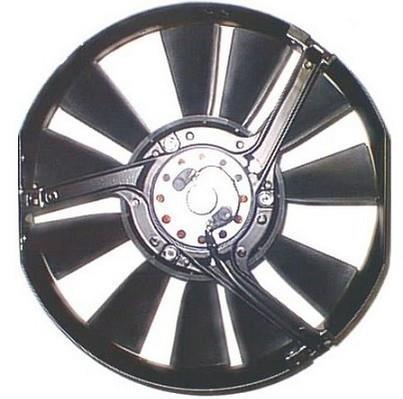 Ventilateur de refroidissement du moteur (Motoventilateur) BERU LE557