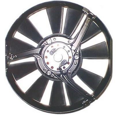 Ventilateur de refroidissement du moteur (Motoventilateur) BERU LE557