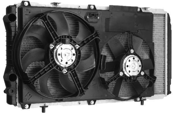 Ventilateur de refroidissement du moteur (Motoventilateur) BERU LEK006
