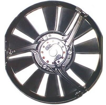 Ventilateur de refroidissement du moteur (Motoventilateur) BERU LE557
