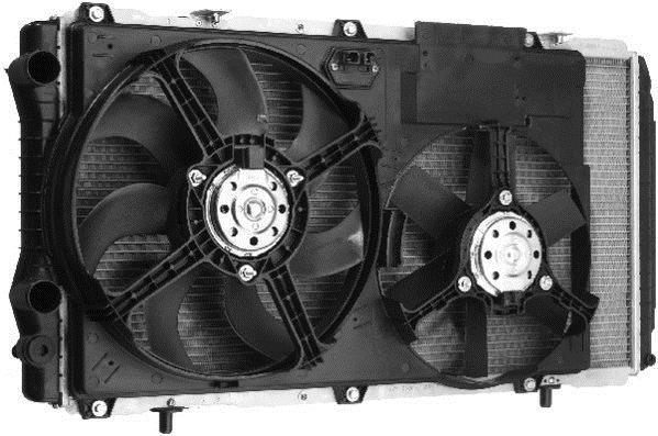 Ventilateur de refroidissement du moteur (Motoventilateur) BERU LEK005