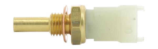 Sonde de température, liquide de refroidissement BERU ST264