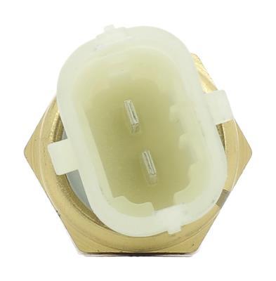Sonde de température, liquide de refroidissement BERU ST264