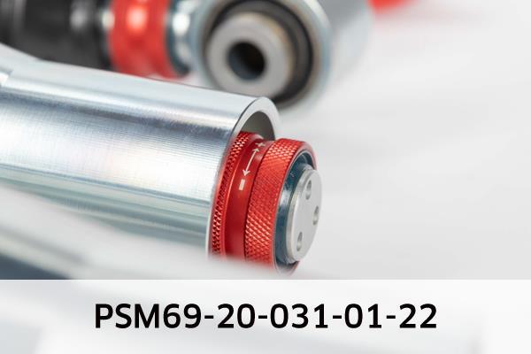 Kit de amortecedores e molas de suspensão EIBACH PSM69-20-031-01-22
