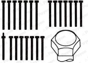 Conjunto de parafusos de culaça PAYEN HBS229