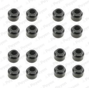 Junta da tubulação da válvula PAYEN ref. HR5048