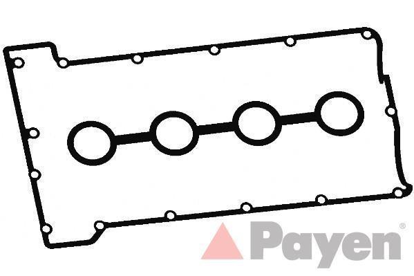 Conjunto de vedantes, coletor de admissão PAYEN ref. HM5238
