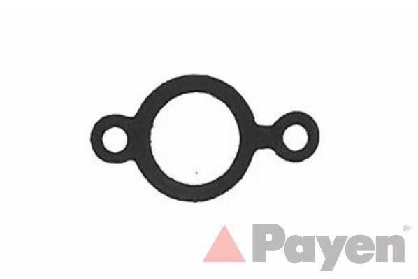 Junta, colector de escape PAYEN JC745