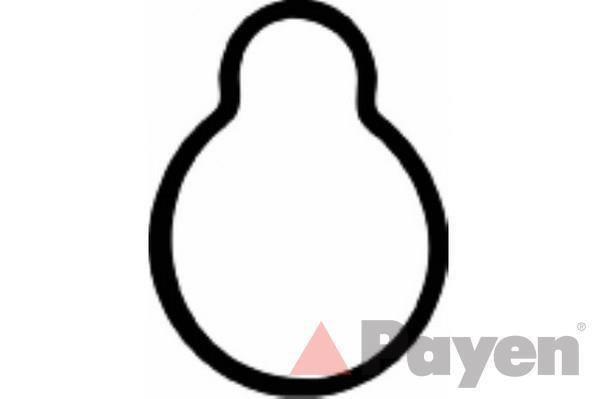 Junta, colector de admisión PAYEN JD167