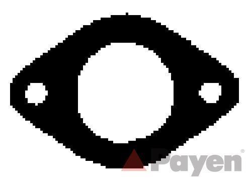 Junta, colector de escape PAYEN ref. JD224