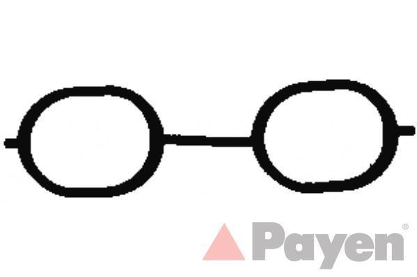 Junta, colector de admisión PAYEN JD5841