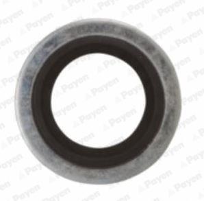 Joint de bouchon vidange PAYEN KG5012