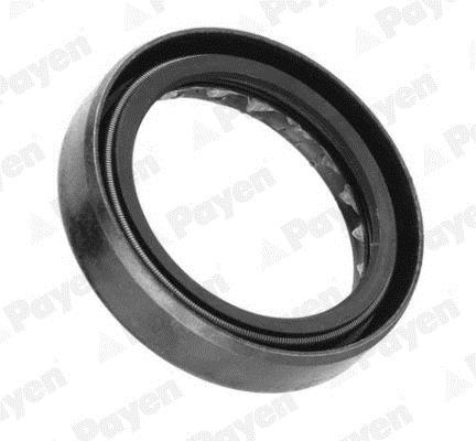 Bague d'étanchéité, boîte de vitesse manuel PAYEN ref. NJ125