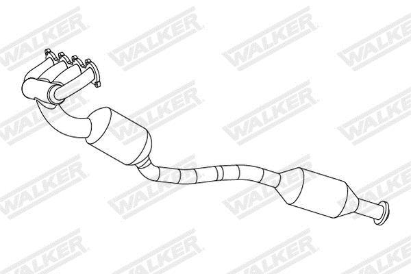 Catalizador WALKER 28870