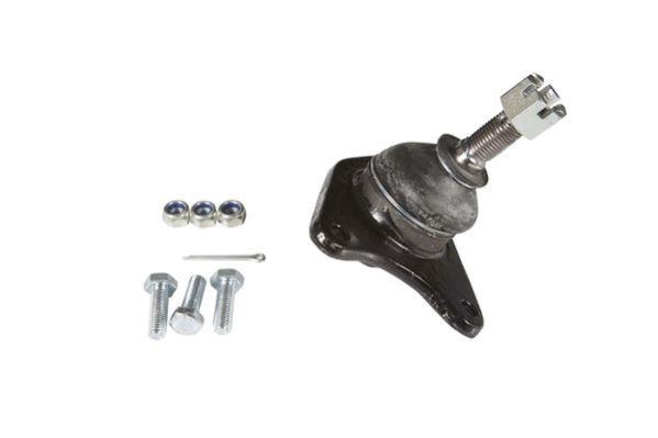 Butée hydraulique Coupé