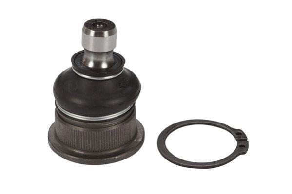 Butée hydraulique Coupé