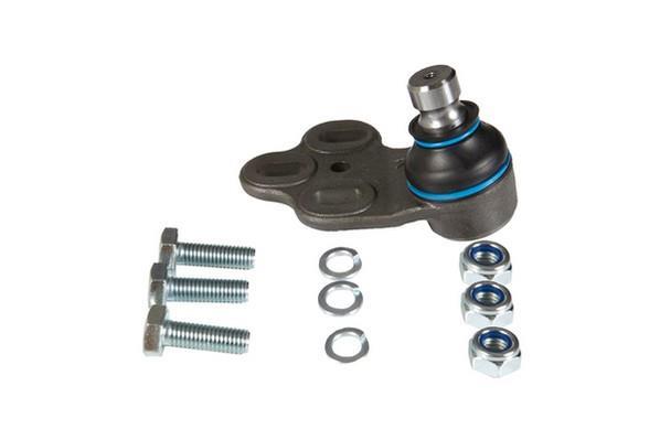 Butée hydraulique Coupé