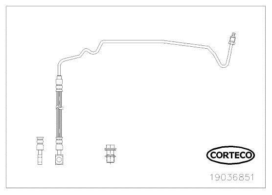 Flexible de frein (Durite de frein) CORTECO ref. 19036851