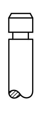 Soupape d'admission AE V94430