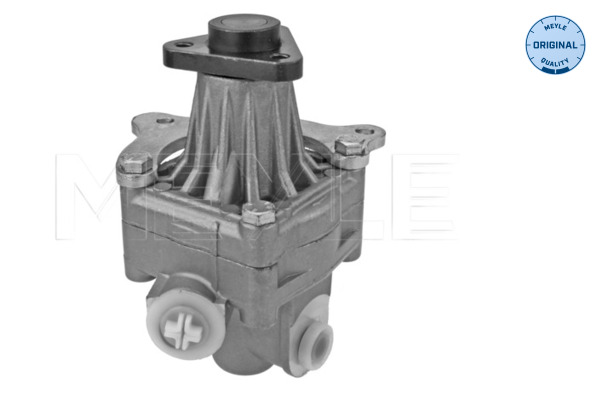 Pompe de direction assistée (Servo direction) MEYLE 314 631 0001