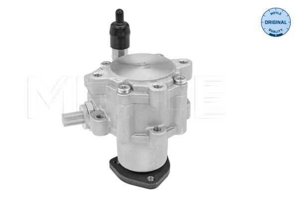 Pompe de direction assistée (Servo direction) MEYLE 314 631 0044