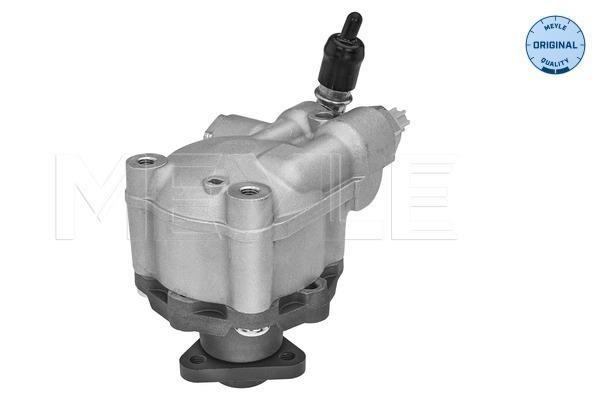 Pompe de direction assistée (Servo direction) MEYLE 314 631 0045
