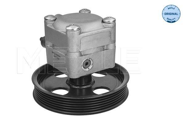 Bomba de direção assistida MEYLE ref. 514 631 0015