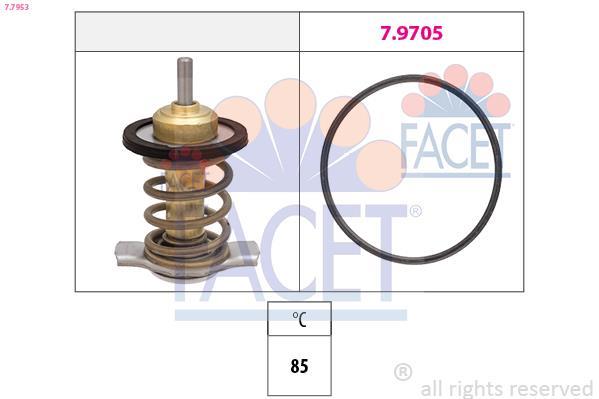 Thermostat d'eau (Calorstat) FACET ref. 7.7953