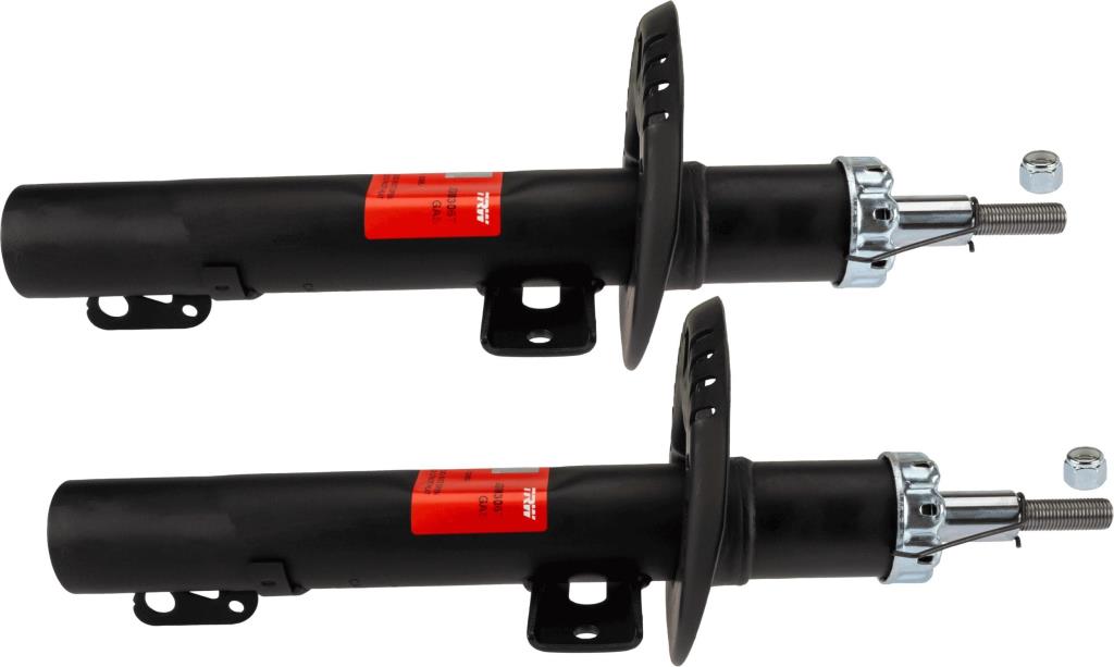 Amortiguadores TRW TWIN - ref. JGM306T