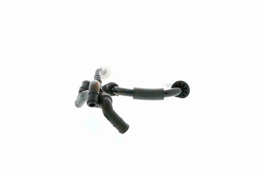 Pompe VAICO V10-2581