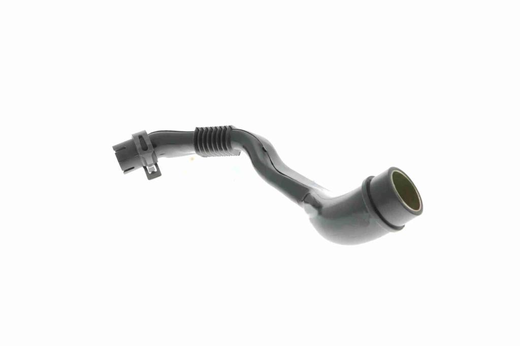 Tuyau, ventilation de carter-moteur (Tuyau de vapeur d'huile moteur) VAICO ref. V10-2778