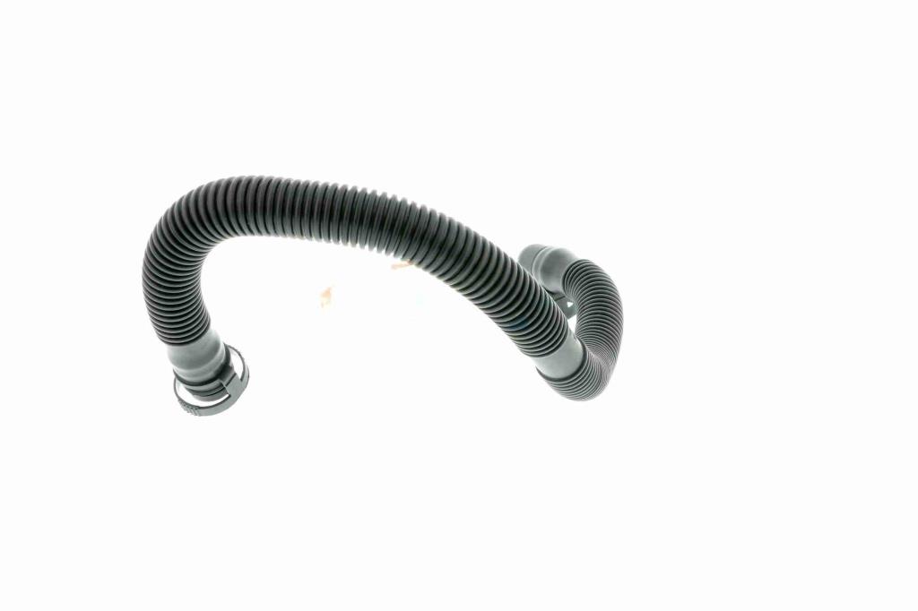 Tuyau, ventilation de carter-moteur (Tuyau de vapeur d'huile moteur) VAICO ref. V10-2779