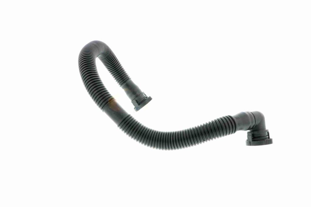 Tuyau, ventilation de carter-moteur (Tuyau de vapeur d'huile moteur) VAICO ref. V10-2779