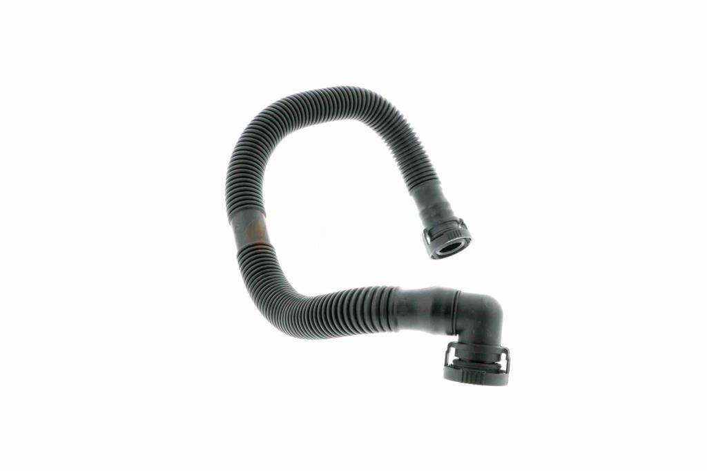 Tuyau, ventilation de carter-moteur (Tuyau de vapeur d'huile moteur) VAICO ref. V10-2779