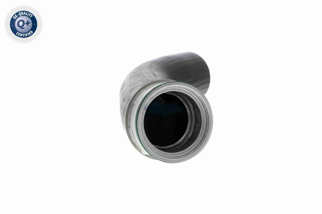 Durite de turbocompresseur (Durite de turbo) VAICO V10-2834