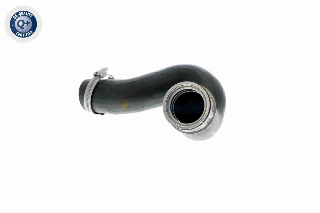 Durite de turbocompresseur (Durite de turbo) VAICO V10-2837