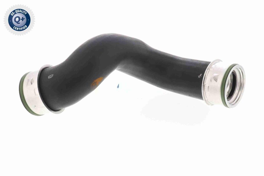 Durite de turbocompresseur (Durite de turbo) VAICO V10-2842