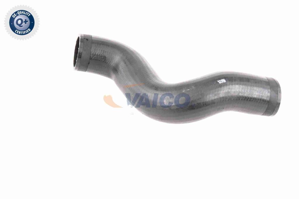 Durite de turbocompresseur (Durite de turbo) VAICO V10-2910