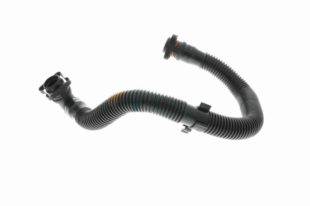 Tuyau, ventilation de carter-moteur (Tuyau de vapeur d'huile moteur) VAICO ref. V10-3092