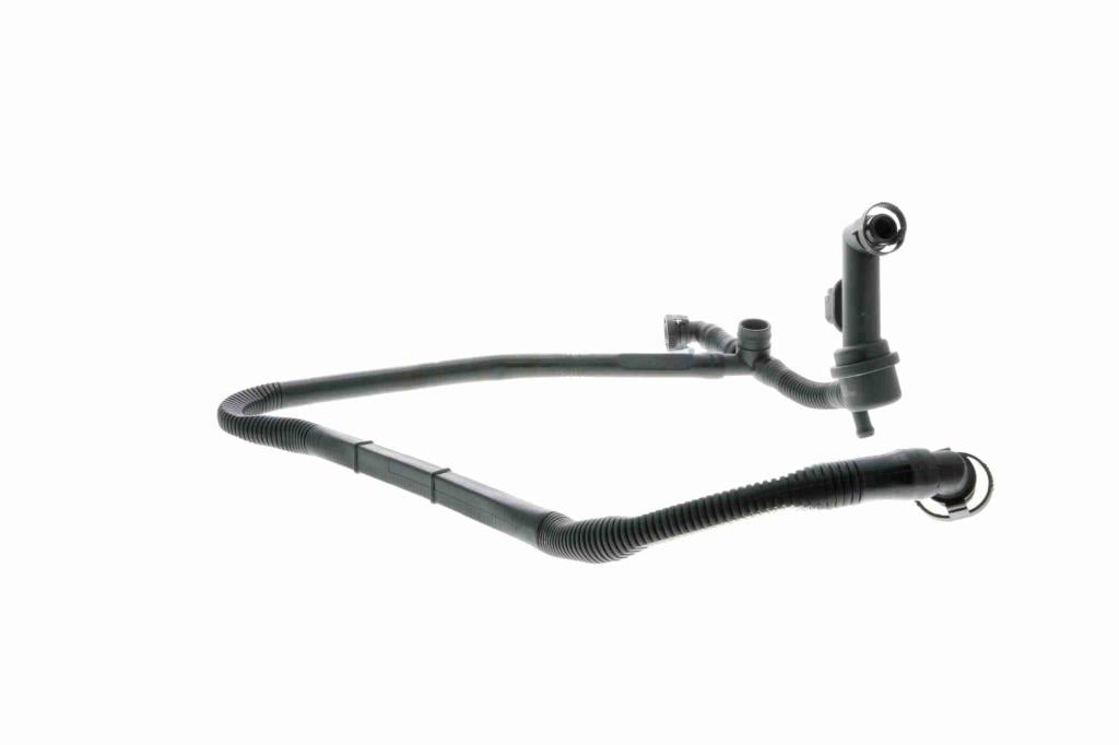 Tuyau, ventilation de carter-moteur (Tuyau de vapeur d'huile moteur) VAICO ref. V10-3094