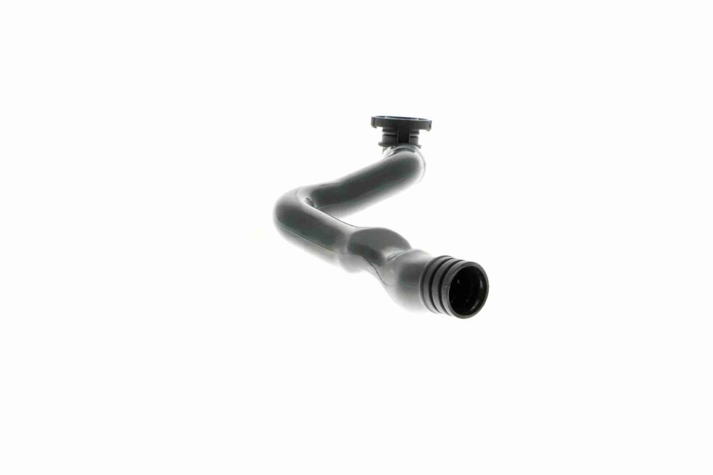 Tuyau, ventilation de carter-moteur (Tuyau de vapeur d'huile moteur) VAICO ref. V10-3099